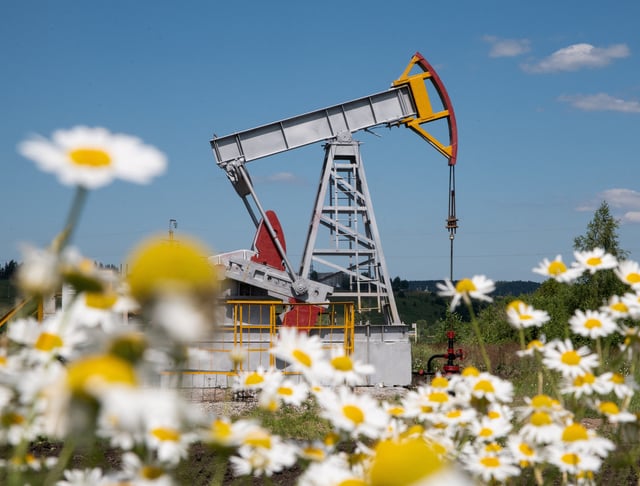 A view shows an oil pump jack outside Almetyevsk, in the Republic of Tatarstan, Russia July 14, 2025. REUTERS/Stringer/File Photo