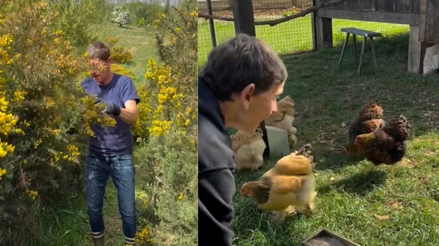 Ellen DeGeneres shared a glimpse into her farm life following her move to the UK. (Instagram/
ellendegeneres)