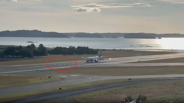 Alaska Airlines flight hits three deer at Kodiak Airport In Alaska | Image: X