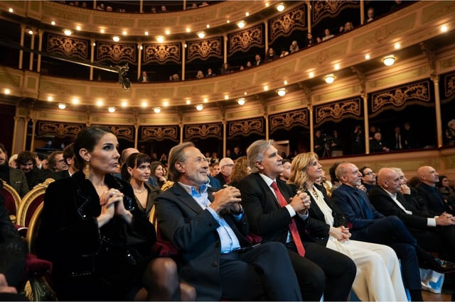 Los Premios Sur son organizados por la Academia de las Artes y Ciencias Cinematográficas de Argentina.