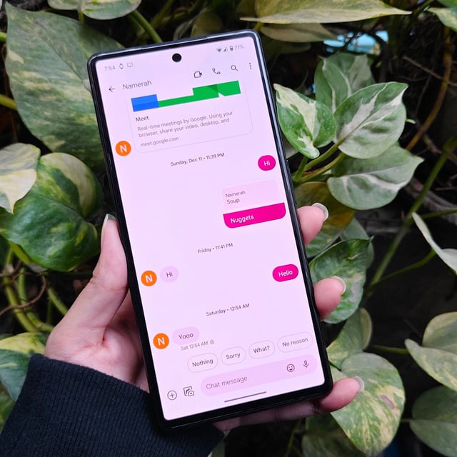 Google Messages RCS Chat features on a Pixel 6
