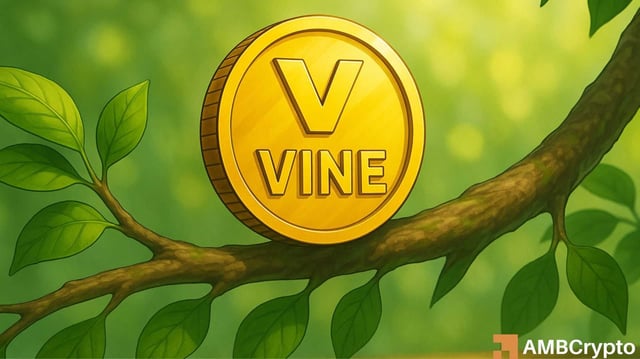 Elon Vine