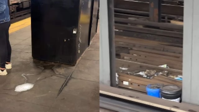 An Indian vlogger's video of a dirty New York subway went viral.