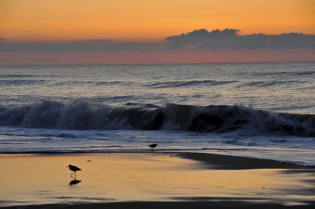 Assateague Island National Seashore
