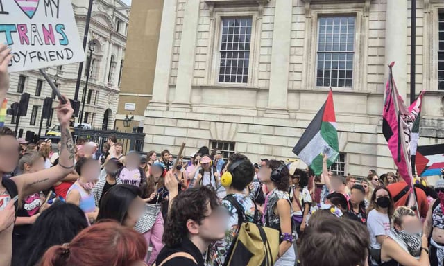 Protestors held a variety of signs, including pro-Palestine flags. (PinkNews)