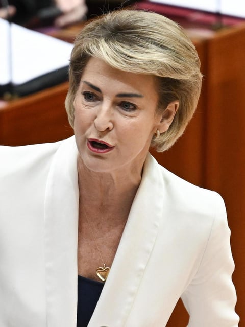 Liberal senator Michaelia Cash gave a strong take-down of Welcome to Country ceremonies. NewsWire / Martin Ollman