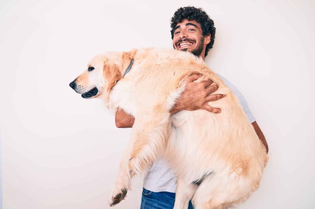 Overweight and obese dogs are no laughing matter, yet 1 in 4 owners ignore their vets' concerns about their pet's weight. (Photo by Krakenimages.com on Shutterstock)