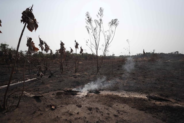 Garantizar que las principales conclusiones de la COP29 respondan a los efectos desproporcionados del cambio climático sobre los niños y las niñas. Foto: EFE.