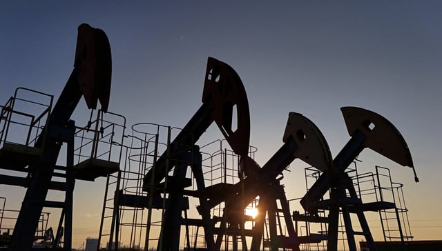 A view shows disused oil pump jacks at the Airankol oil field operated by Caspiy Neft in the Atyrau Region, Kazakhstan April 2, 2025. REUTERS/Pavel Mikheyev/File Photo
