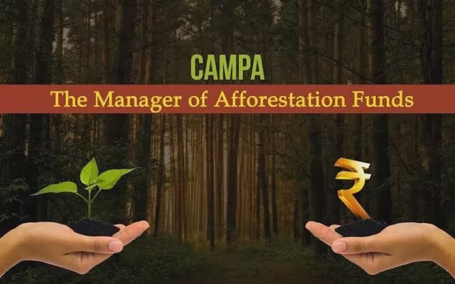 India planted 1.78 lakh ha under CAMPA in 2019-2023; gaps in fund use: Report