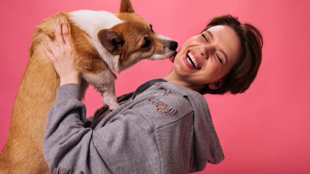 Cada 27 de julio se celebra el día del perro