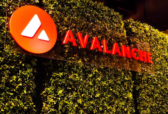 Sky's grove expands to avalanche with $250m rwa plan, partnering with centrifuge, janus