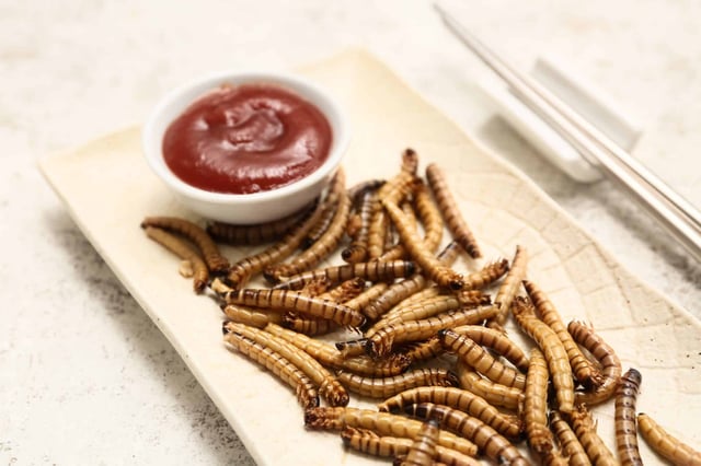 A plate with fried maggots and a side of ketchup. (Photo by Pixel-Shot on Shutterstock)