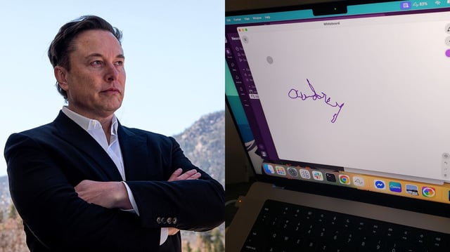 Split image showing Elon Musk on the left, standing with folded arms against a natural backdrop, and a laptop screen on the right displaying “Audrey” written in purple. The handwriting was produced by Audrey Crews—paralyzed for over 20 years—using only her thoughts through Neuralink’s brain-computer interface.