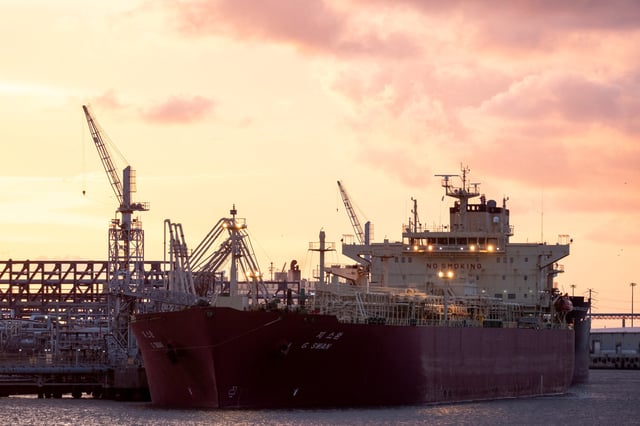 The G. SWAN LPG Tanker is docked at the Phillips 66 Freeport Terminal in Freeport, Texas, U.S., June 23, 2025. REUTERS/Joel Angel Juarez/File Photo