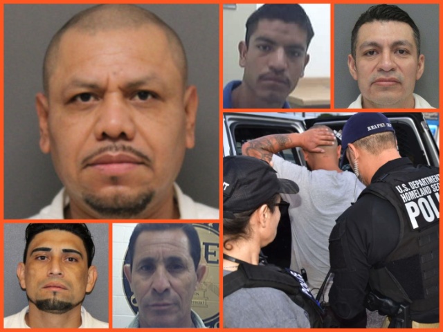 200 Illegal Alien Child Sex Offenders Arrested in Houston Area in 6 Months (Immigration and Customs Enforcement)