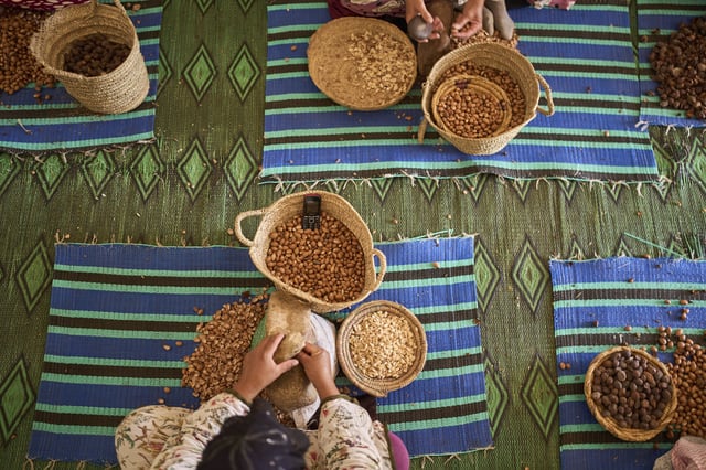 Women crack argan nuts at a cooperative that extracts and produces argan oil and products, in Essaouira, Morocco, Thursday, May 22, 2025. (AP Photo/Mosa'ab Elshamy)