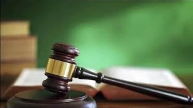 Panwar said the HC in its July 2 order directed the forest department to remove the apple orchards and plant forest species in their place, with costs ordered to be recovered from encroachers as arrears of land revenue. (File)