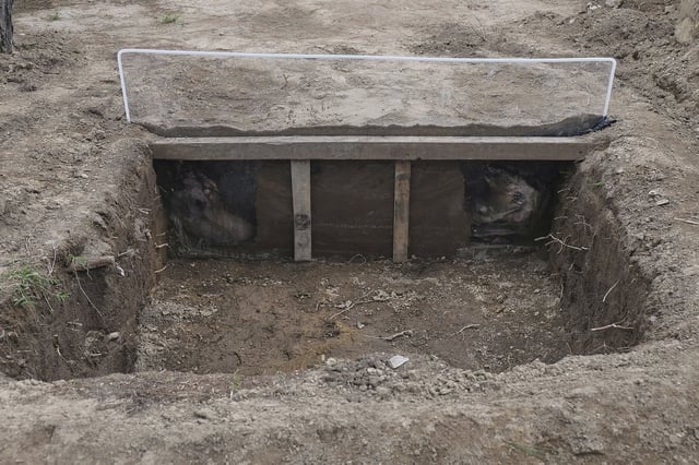A view of a burial site of pig carcasses that are proxies for humans in research to help find people who have gone missing in Mexico during decades of drug cartel violence, in Zapopan, Mexico, Friday, July 11, 2025. (AP Photo/Alejandra Leyva)