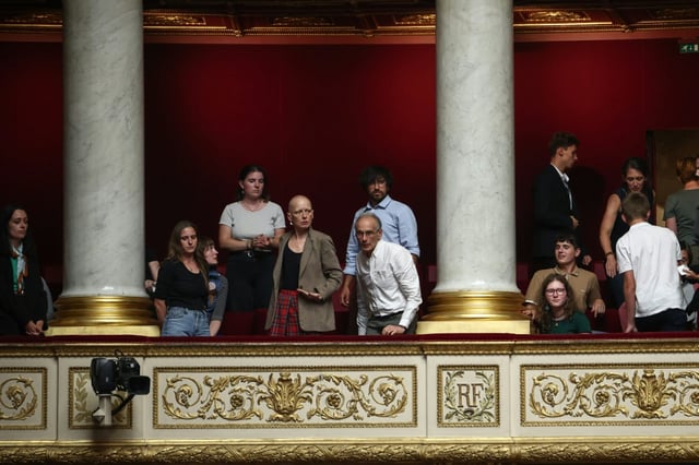 The legislation to reintroduce in France acetamiprid, a pesticide that is harmful to ecosystems but popular with many farmers in Europe, was adopted on July 8