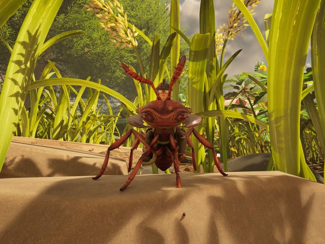 Grounded 2 grass seeds: A character riding a red soldier ant, with lots of grass and grass flowers in the background.