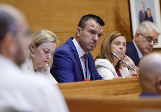 Comisión de estudio de la Diputación de Valencia sobre la gestión de la dana del 29 de octubre