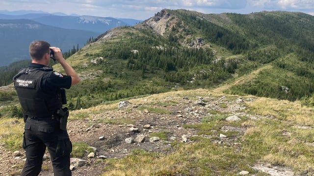 Conservation officer looking out on mountain