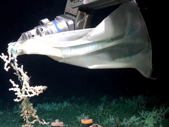 En la expedición recuperaron una bolsa de plástico con caracteres chinos. Foto: YouTube Schmidt Ocean