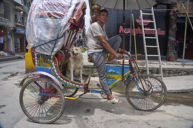 Babu Tamang and his dog Shayam wait for passengers in Thamel, a tourist hub in Kathmandu, Nepal, Wednesday, July 2, 2025. (AP Photo/Niranjan Shrestha)