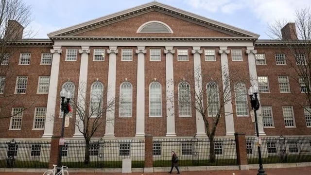 Harvard to hand over staff job records withholding student roles amid Trump admin probe