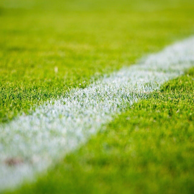 Union Berlin-Fan beleidigt Fußballspieler bei Testspiel in Herzogenaurach