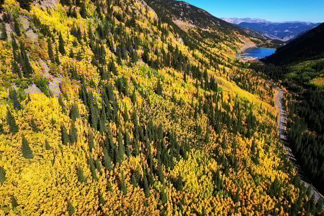 Fall colors on the Guanella Pass Scenic Byway are stunning, but so are the numbers of vehicles on the 22-mile road during leaf-peeping season. Temporary closures may be in store this season to prevent overcrowding. (Hyoung Chang, Denver Post file)