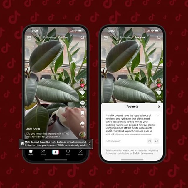 TikTok Footnotes are here