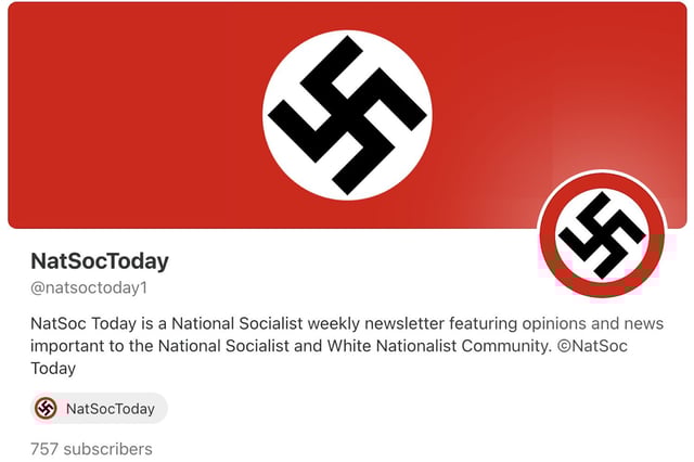 © Screenshot/Substack/NatSocToday