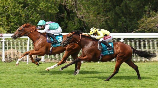 Qirat (150-1) holds on from the fast-finishing Rosallion, with hot favourite Field Of Gold out of the picture