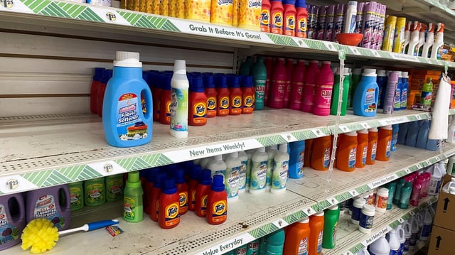 Household products made by Procter & Gamble Co are seen on shelves at a Dollar Tree in Newburgh, New York, U.S., May 14, 2023. REUTERS/Jessica DiNapoli/File Photo
