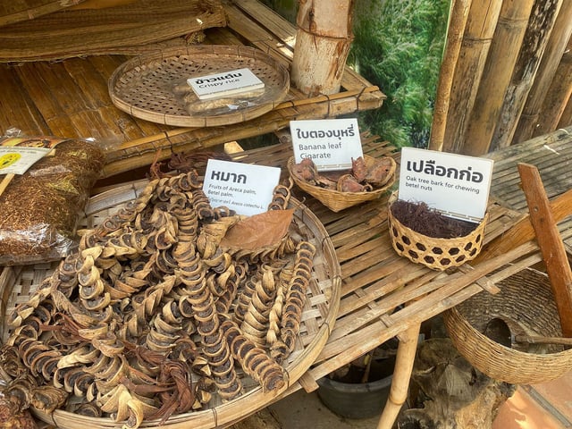 Betel nut materials from an ethnobotanical garden in Thailand.