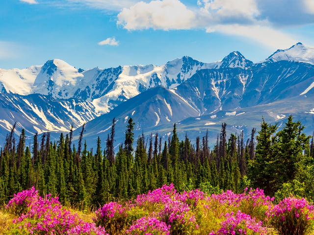Yukon snowy mountain.