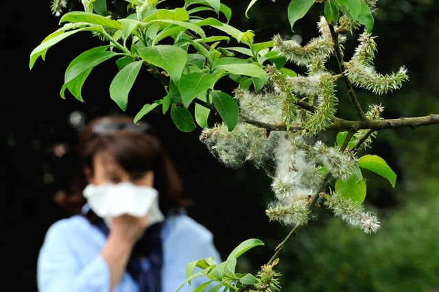 Mit einem Netz automatischer Pollenmessgeräte will der Deutsche Wetterdienst (DWD) die Vorhersagen für Allergiker verbessern. Bis zum Jahr 2027 sollen deutschlandweit 16 solcher Geräte aufgestellt werden.