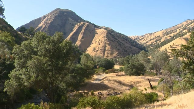 Cold Canyon Trail in Solano County. 