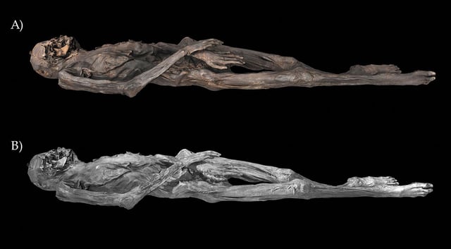 A 3D model of the mummy.