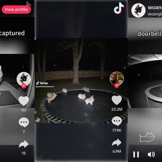 Yes, these are all AI-generated images. 