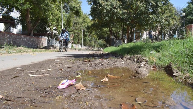 According to experts, an above-average rainfall this July and subsequent waterlogging have likely contributed to the increase in the cases of dengue and malaria. (FILE)