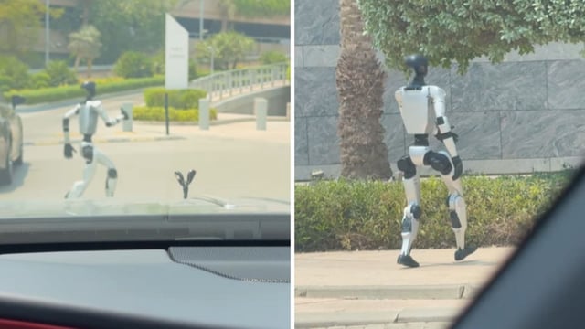 Snippet of a humanoid robot in Dubai. 