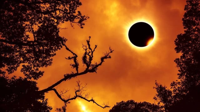 Surya Grahan Fact Check: Is The Biggest Eclipse Of The Century On August 2? Here's The Truth. (Image: Canva)