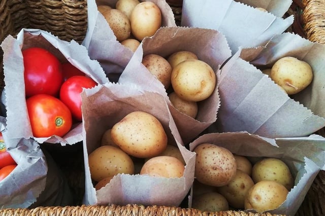 El tomate y la papa, aunque parecen muy distintos, comparten un ancestro común que cambió para siempre la historia de la agricultura. (Europa Press)