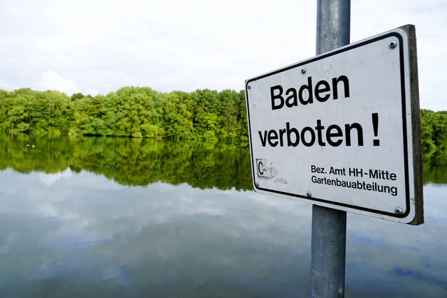 Das Bezirksamt Hamburg-Mitte hat ein sofortiges Badeverbot für den Öjendorfer See ausgesprochen.