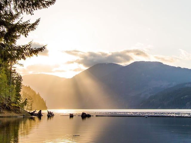 A mother and her five-month-old baby have been killed by a tree that fell in a Vancouver Island campground.