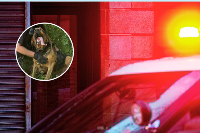 A photo of the K-9 bloodhound that rescued Dakota Trenkle Jr. as show on the St. Francois County Sheriff&#39;s Department Facebook.