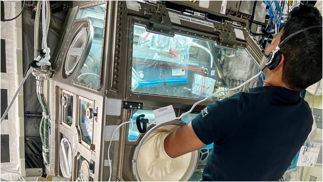 Shubhanshu Shukla onboard the ISS | Image: X